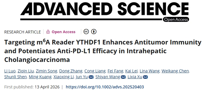 增强抗PD-L1治疗疗效！中山大学附属第一医院：有前景的肝内胆管癌治疗策略
