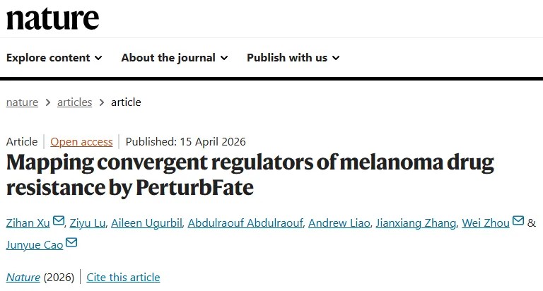 Nature | 洛克菲勒大学曹俊越/周伟/许子涵团队开发创新平台绘制黑色素瘤耐药图谱，揭示驱动耐药的共同调控程序与核心转录因子