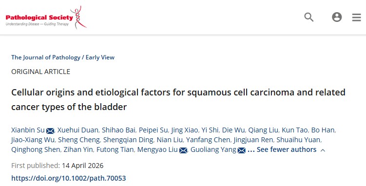揭开膀胱鳞癌神秘面纱！仁济医院杨国良、上海交大苏现斌等合作揭示膀胱鳞癌病因及细胞起源
