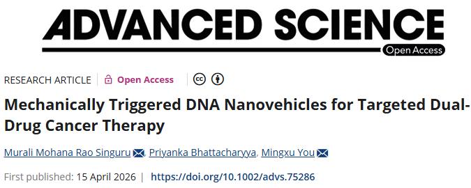 个性化“鸡尾酒”疗法！最新文章揭示潜在更安全的癌症治疗策略