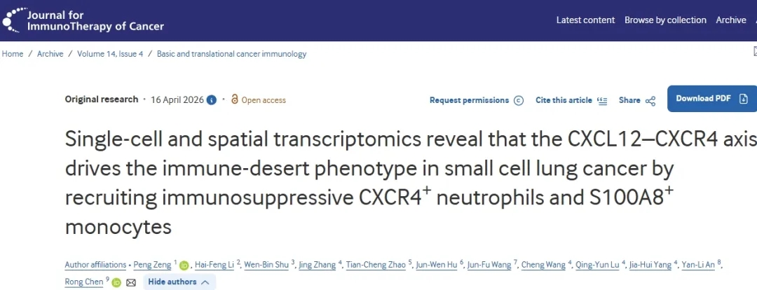 重塑免疫抑制性肿瘤微环境!东南大学附属中大医院发文：可提高小细胞肺癌免疫治疗疗效的治疗策略