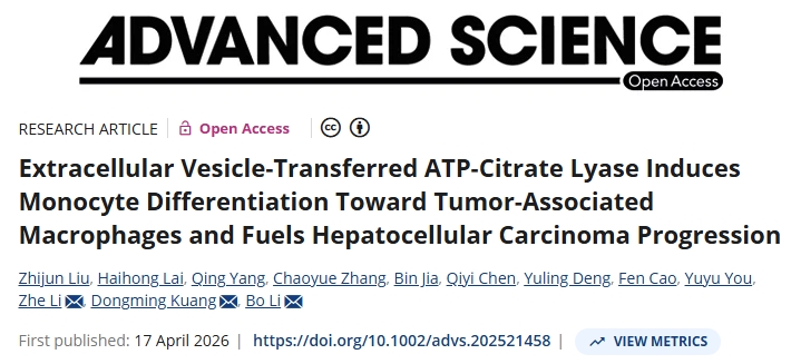 增强免疫疗效！南方医科大学/中山大学/南京大学合作发文：安全且有前景的肝癌治疗策略