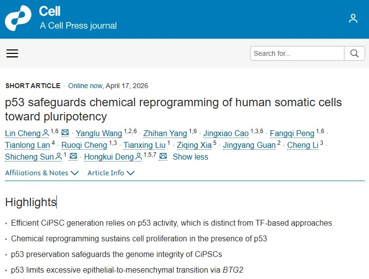 颠覆性发现！北京大学邓宏魁院士领衔Cell发文揭示p53在化学重编程中发挥核心保护作用，为安全干细胞制备开辟新范式