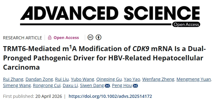 双重作用！西安交通大学第一附属医院等单位合作发文：有前景的肝癌治疗策略