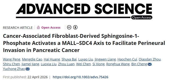 显著减少肿瘤负荷！华中科技大学同济医学院附属同济医院发文：有前景的胰腺癌治疗靶点