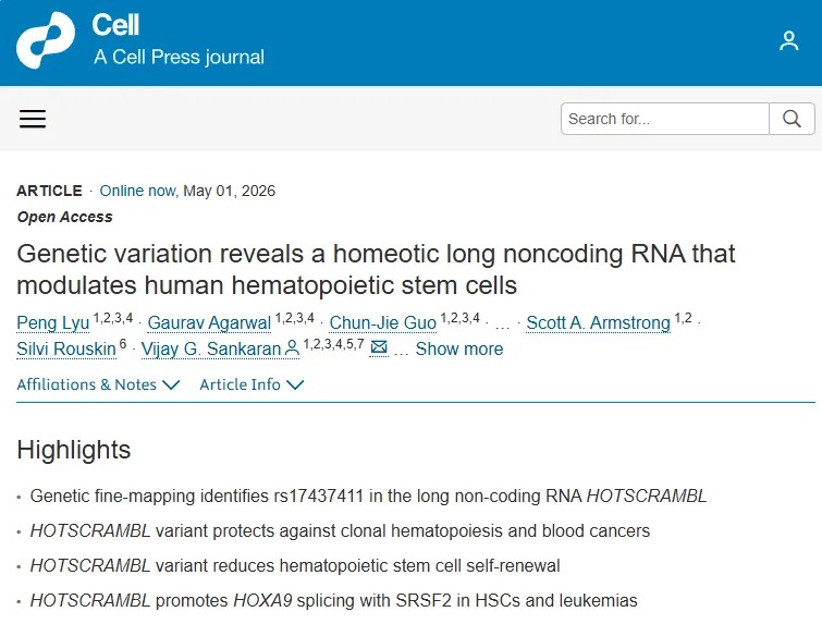 Cell重磅研究！科学家发现新型长链非编码RNA，揭示其保护人体免于血癌发生的新机制