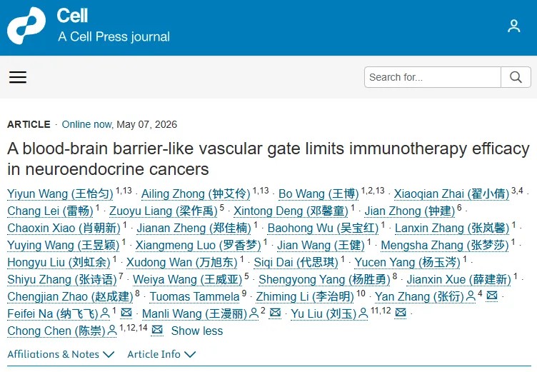 肿瘤内筑起“血脑屏障”？Cell重磅研究揭示神经内分泌癌免疫治疗耐药的全新机制