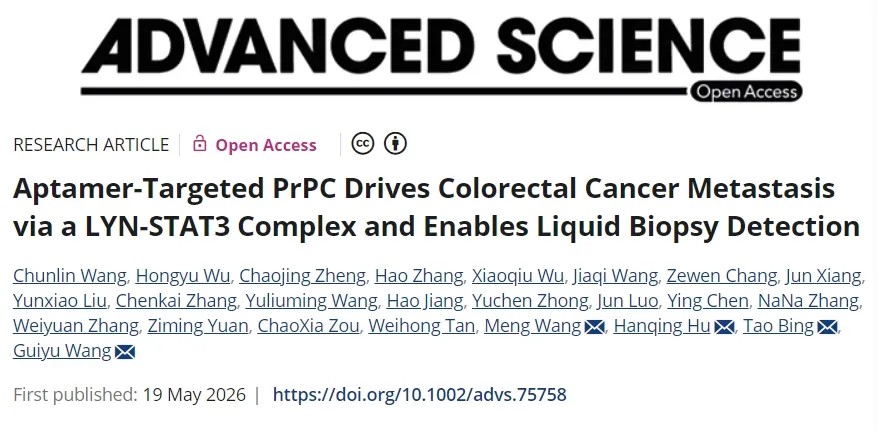 抑制癌细胞降解！哈尔滨医科大学附属第二医院等单位合作发文：结直肠癌治疗新靶点