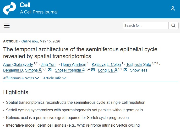 Cell | 空间转录组学首次描绘生精时钟运转全过程，揭示精子发生同步的核心奥秘