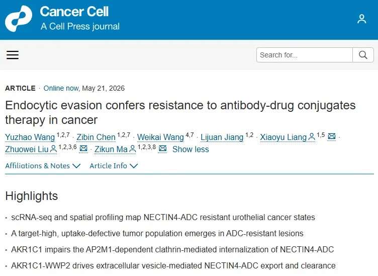 Cancer Cell | 中山大学肿瘤防治中心马梓坤/刘卓炜/梁晓雨团队揭示癌症对ADC耐药的新机制
