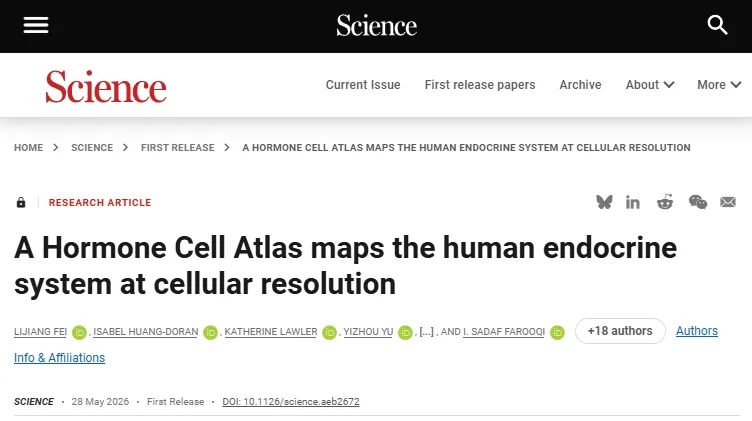 ​科学里程碑！Science发布全球首个“人类激素细胞图谱”，以前所未有的单细胞分辨率揭示内分泌系统奥秘