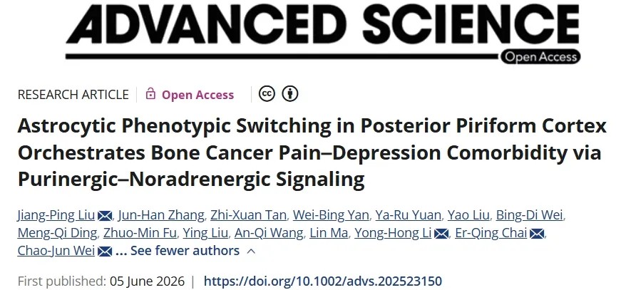 靶向星形胶质细胞！甘肃省人民医院发文：癌症疼痛-抑郁症共病治疗策略