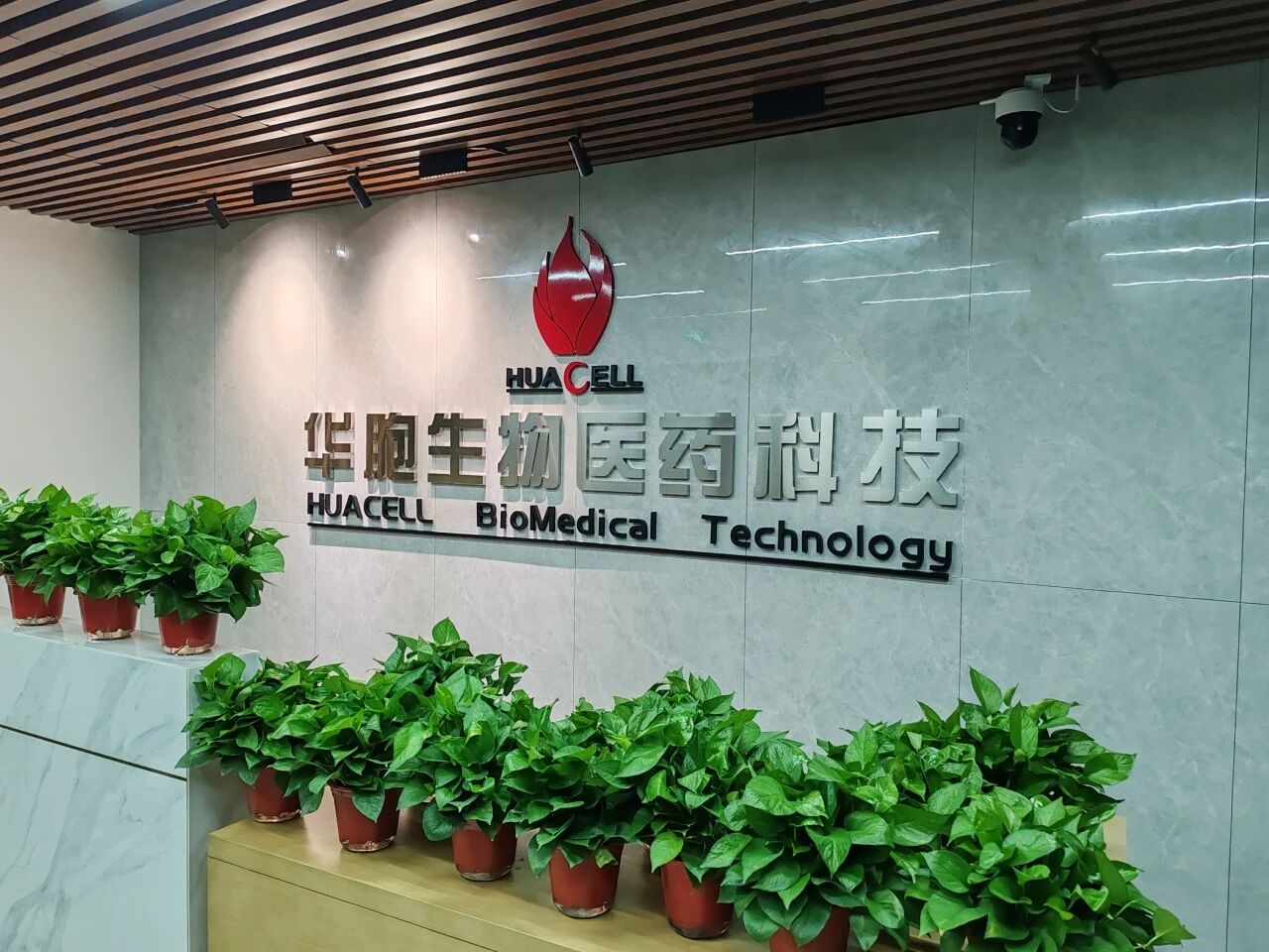 中国干细胞新标准“适配海外，降维出击”，以完备产学研积淀赋能迪拜转化医学产业