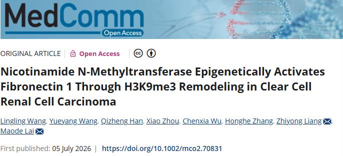发病机制新视角！浙江大学医学院/中国医学科学院北京协和医院合作发文：肾癌潜在诊断标志物和治疗靶点