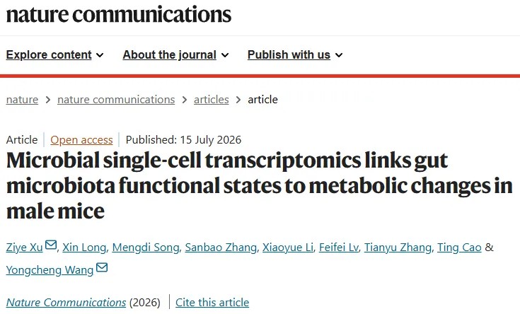 开创性研究！浙江大学王永成/徐子叶团队微生物单细胞测序首次揭示肠道细菌“个体差异”与糖尿病代谢变化的内在联系