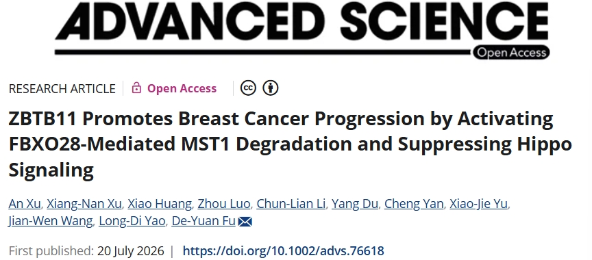 重要致癌转录因子！扬州大学附属苏北人民医院发文：乳腺癌预后生物标志物和潜在治疗靶点