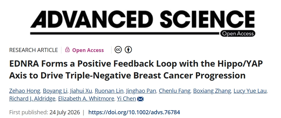 抑制YAP依赖性肿瘤行为！新疆医科大学附属肿瘤医院发文：三阴性乳腺癌治疗新靶点