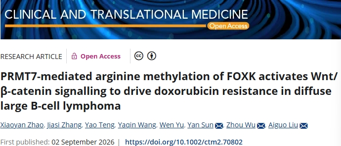 耐药新机制！华中科技大学同济医学院附属同济医院等单位合作发文：克服阿霉素耐药的潜在治疗方案