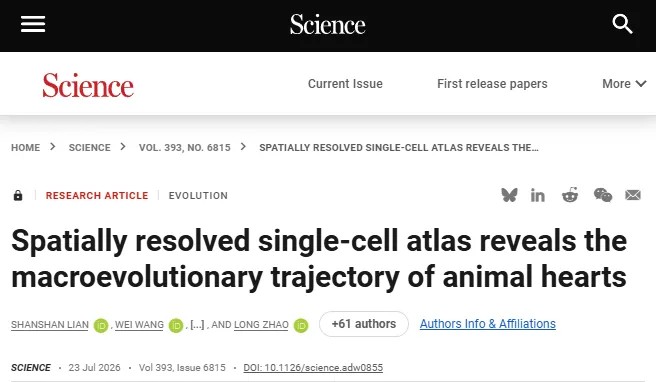 Science 重磅发布！中国科学家领衔空间分辨单细胞图谱揭示动物心脏的宏观演化轨迹