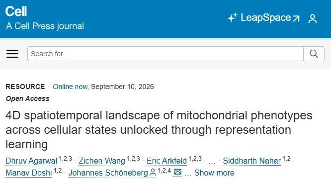 Cell 重磅研究！科学家绘制线粒体“四维时空图谱”，无需标记即可预测细胞能量状态