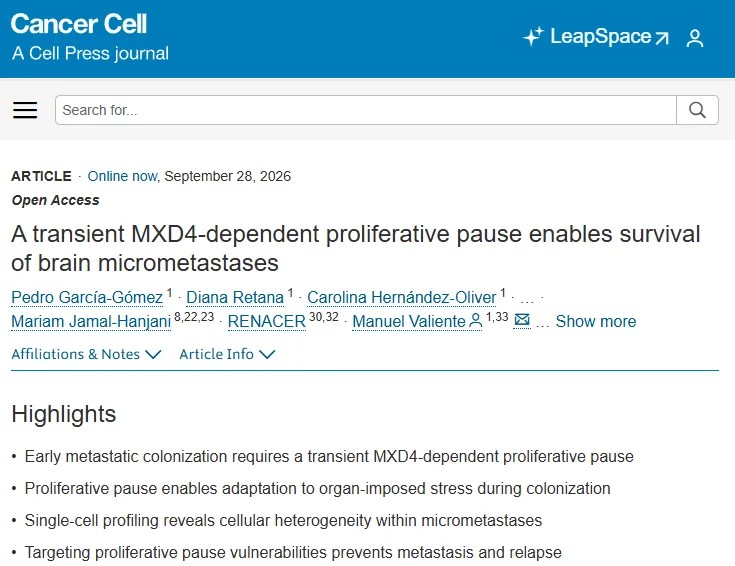 Cancer Cell | 癌细胞“减速求生”机制揭示脑转移早期生存关键，为预防脑转移的发生与复发提供全新治疗策略