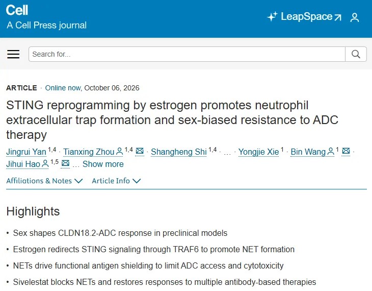Cell 重磅研究！天津医科大学肿瘤医院郝继辉/王滨/周天兴团队雌激素重编程STING通路诱导中性粒细胞陷阱，揭示女性ADC耐药新机制