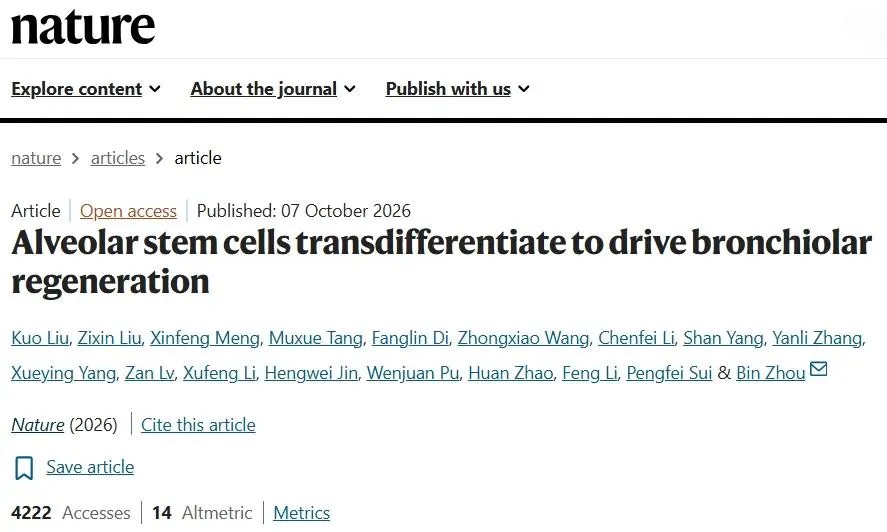 Nature 重磅研究！国科大杭州高等研究院周斌团队首次证实肺泡干细胞能转分化驱动细支气管再生，肺脏再生机制获颠覆性发现