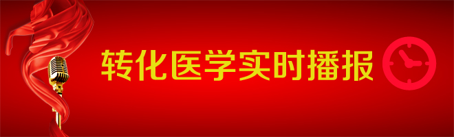 主题站
