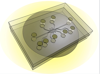 新型微芯片系统或可助力肿瘤靶向性研究