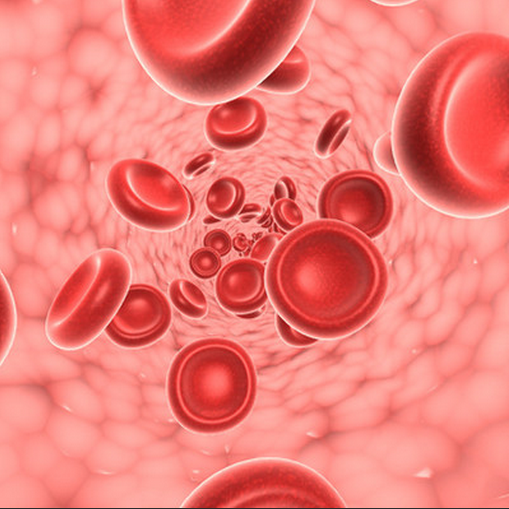 Science：揭示干细胞分化形成血细胞的分子机理