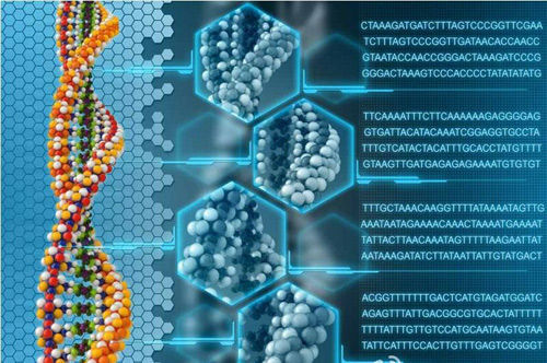 芝加哥GeneHub：全基因组测序服务定价3490美元欲向大众进行销售