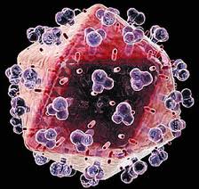 我科学家发现抑制艾滋病病毒新途径