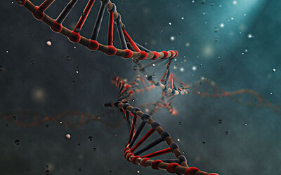 Nature：CRISPR技术在癌症领域大放异彩