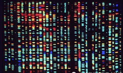 Cell：全面解析大规模癌症基因组