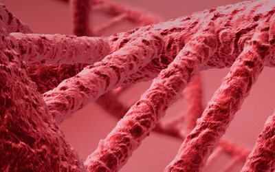 纳米脂质体携带特效药可靶向杀灭黑素瘤细胞