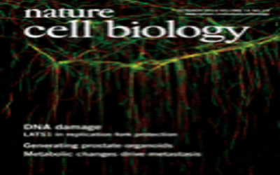 Nat Cell Biol：新型蛋白ASPP2可控制上皮细胞可塑性且抑制癌症转移