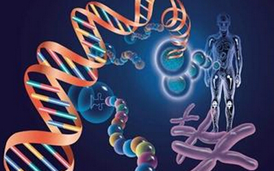 PNAS：FANCM和乳腺癌风险