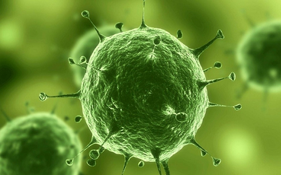 Science：遗传背景决定宿主对埃博拉病毒的免疫反应