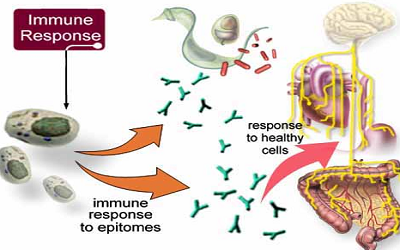 Nature Communications：整合素可使T细胞不再产生免疫应答