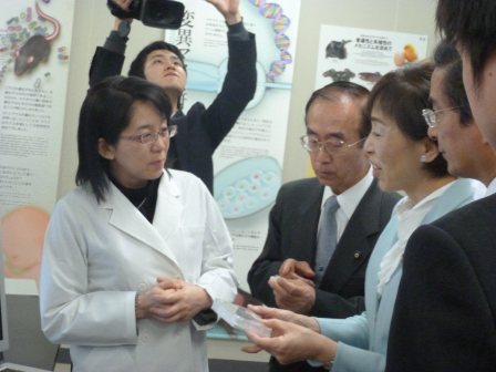 日本女科学家入选美国大学“干细胞年度人物”