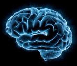 《职业与环境医学》：过度使用手机会增加脑肿瘤患病风险