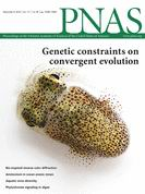 PNAS：心脏免疫细胞助心脏愈合