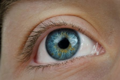 线粒体基因组测序有助筛选青光眼治疗靶点