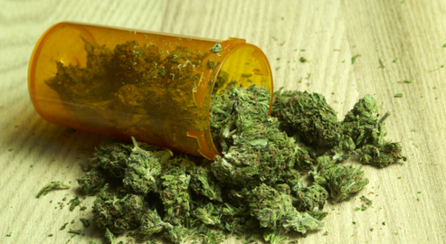 大麻有效成分联合放疗或可有效抑制脑癌发展