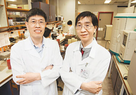 香港研究者破解H7N9传染力强之谜：存适应性变异
