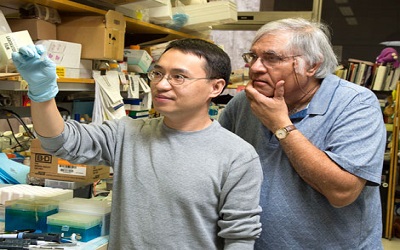 STM：中美研究人员发现新药物组合有望治耐药肺癌