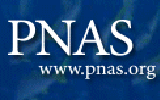 PNAS：研究表明巴尔病毒可在组织模型中高效复制